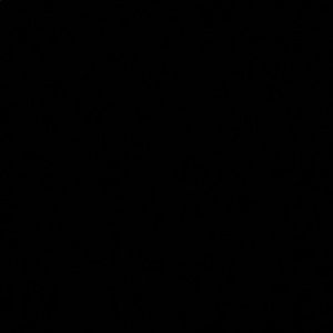 Meet your Posher, Bailey